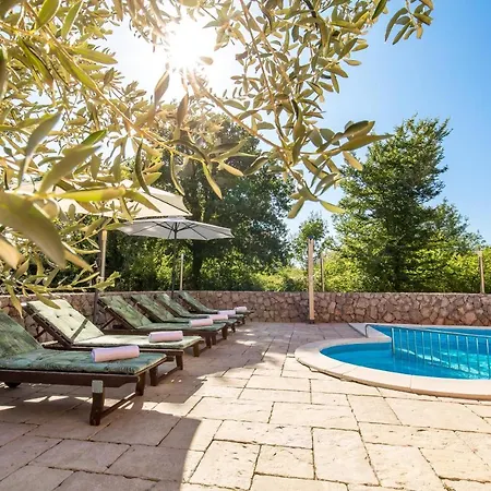 Apartment Romana And Tea